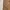 2023' Dickies Canvas Carpenter Rinsed Brown photo 4