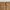 2023' Dickies Canvas Carpenter Rinsed Brown photo 6