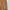 2023' Dickies Canvas Carpenter Rinsed Brown photo 3