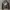 Vivastudio Biker Leather jacket Pria black photo 3