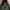 Parka Fiahtail Parka Army Style Parka Mods Parka Vespa photo 2