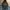 Parka Fiahtail Parka Army Style Parka Mods Parka Vespa photo 1