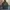 Parka Fiahtail Parka Army Style Parka Mods Parka Vespa photo 6