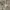 Codes combine formen hook & eye closure layered shirt hoodie photo 6