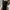 YSL Yves Saint Laurent Tribute 105 In Animal Print Point Pon photo 6