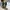 YSL Yves Saint Laurent Tribute 105 In Animal Print Point Pon photo 5