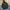Parka Army Style Parka Fishtail Parka Mods Parka Vespa photo 7