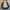 Parka Army Style Parka Fishtail Parka Mods Parka Vespa photo 6