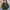 Parka Army Style Parka Fishtail Parka Mods Parka Vespa