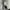 One Set Blazer formal and Trousers in Grey Setelan Jas Pria  photo 10