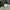 Misty Women Japanese Brand Dress Midi photo 6
