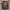Carhartt Casual Hoody Wanita brown photo 1