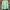 The North Face Casual Sweatshirt Pria green photo 3