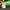 The North Face Casual Sweatshirt Pria green photo 6
