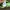 The North Face Casual Sweatshirt Pria green photo 5