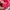New Balance FuelCore Coast V3 d Original  photo 5