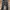 Von Dutch Casual Jeans Pria gray photo 1