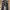 Von Dutch Casual Jeans Pria Gray