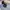 Nike Flex Advance BR 'Dark Smoke Grey' Original  photo 1