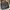 Sage Casual Bag Pria black photo 1