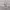Coach Taylor Eyelet Leather Carryall Original photo 5