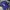 LA Dodgers MLB official merch Blue Los Angeles baseball cap photo 4