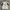 Canterbury Vintage Sportswear Jersey Pria white green photo 2