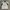 Canterbury Vintage Sportswear Jersey Pria white green photo 1