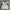 Canterbury Vintage Sportswear Jersey Pria White Green