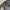 leather jacket boxy kerah daun photo 4