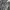 leather jacket boxy kerah daun photo 3