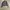 leather jacket boxy kerah daun photo 2