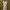 Pink Floral Satin Night Dress | Slip Cami Dress 