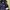 Moncler Down Jacket Bulu Angsa Puffer Bulang photo 8