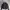 Adidas Black Cropped Hoodie photo 1