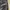 Everlast x Muhammad ali boxing pants photo 4