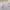 Thom Browne Luxury Casual Casual shirt Pria multicolor white photo 2
