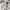 Crewneck Zombie photo 4