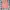 Rok Span High Waist V-Notch Peach / Coral Elegant Skirt photo 1