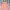 Rok Span High Waist V-Notch Peach / Coral Elegant Skirt photo 2