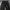Carhartt Double Knee Black