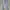 No Boundaries (NOBO) Light Blue Skinny Jeans Original photo 1