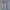 No Boundaries (NOBO) Light Blue Skinny Jeans Original photo 2