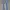No Boundaries (NOBO) Light Blue Skinny Jeans Original
