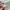 Guess Vintage Tshirt photo 6