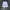 Jorts Carpenter Doble photo 2