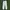 Ellesse Sportswear Sweatpants & Joggers Pria white photo 1