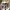 Birkenstock photo 1
