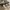 Birkenstock photo 2