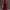RF - Jumpsuit Celana Panjang Wide Leg Burgundy One Brand photo 5